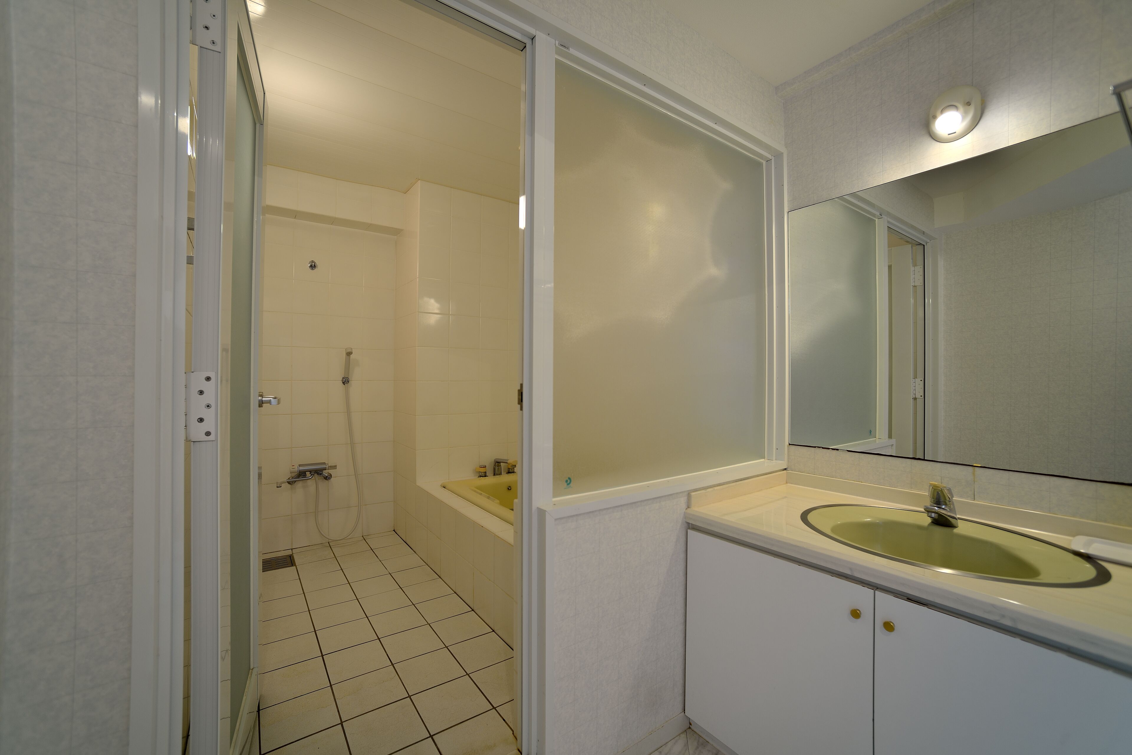 A bathroom with a white sink, a mirror, and a shower area.