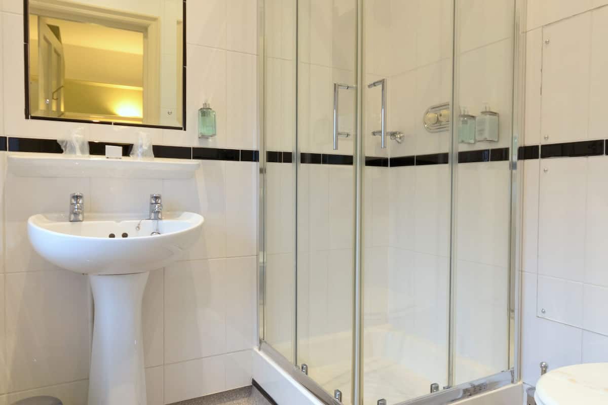 shower, free toiletries, hair dryer, towels