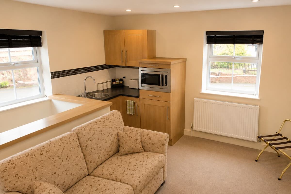 Standard Studio Suite | 1 bedroom, desk, laptop workspace, iron/ironing board