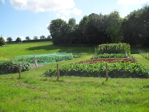 Property grounds - The Langton Arms (Blandford Forum)