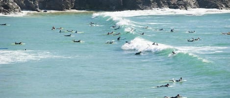 A coastal area with waves suitable for surfing, a grassy area with a building, and a rocky shoreline.
