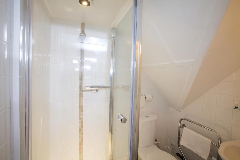 A modern bathroom with a glass-enclosed shower, a toilet, and a sink.