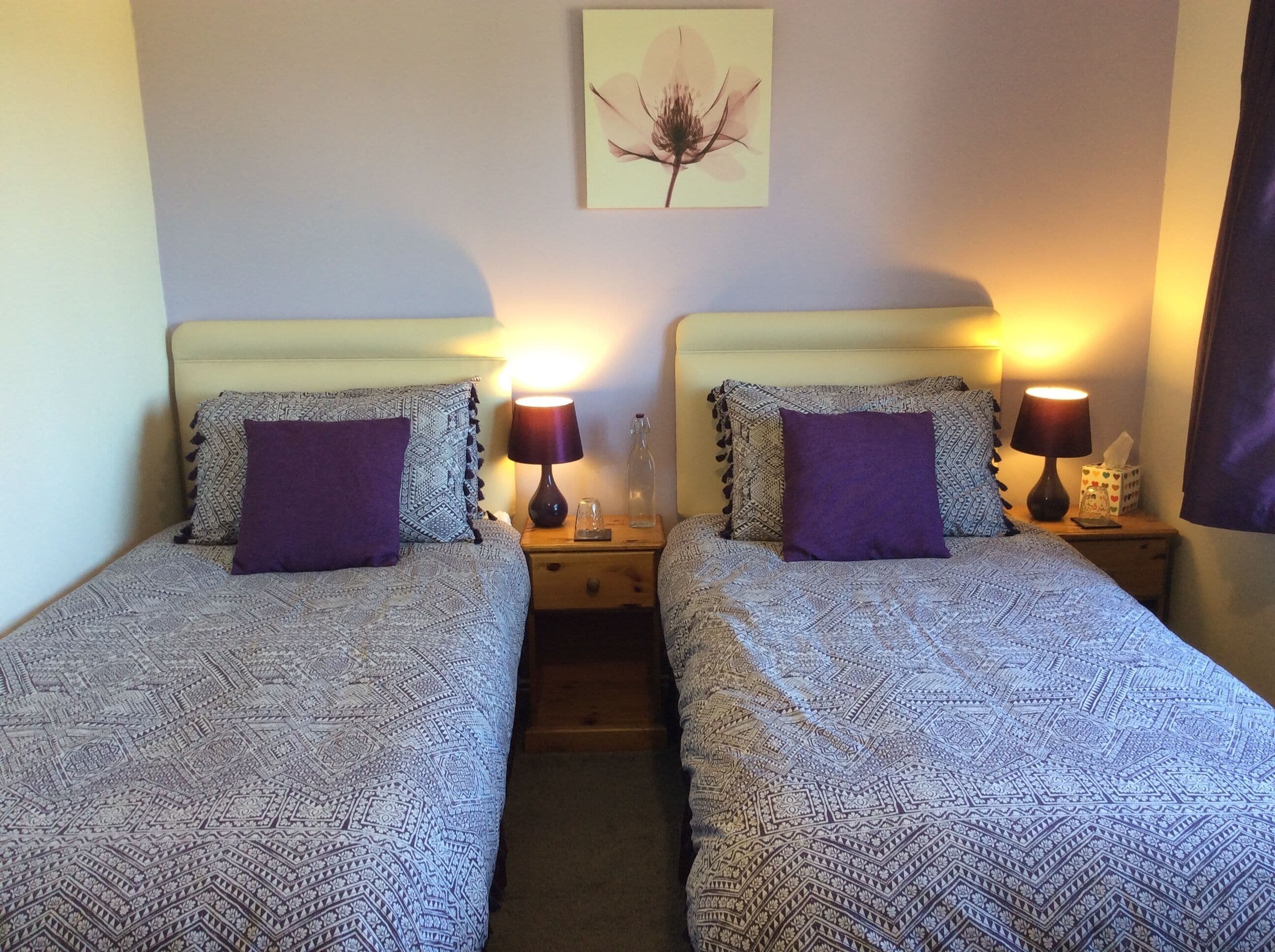 A double room with two beds, each with patterned bedding and a purple pillow. There are bedside tables with lamps and a small decorative item on each.