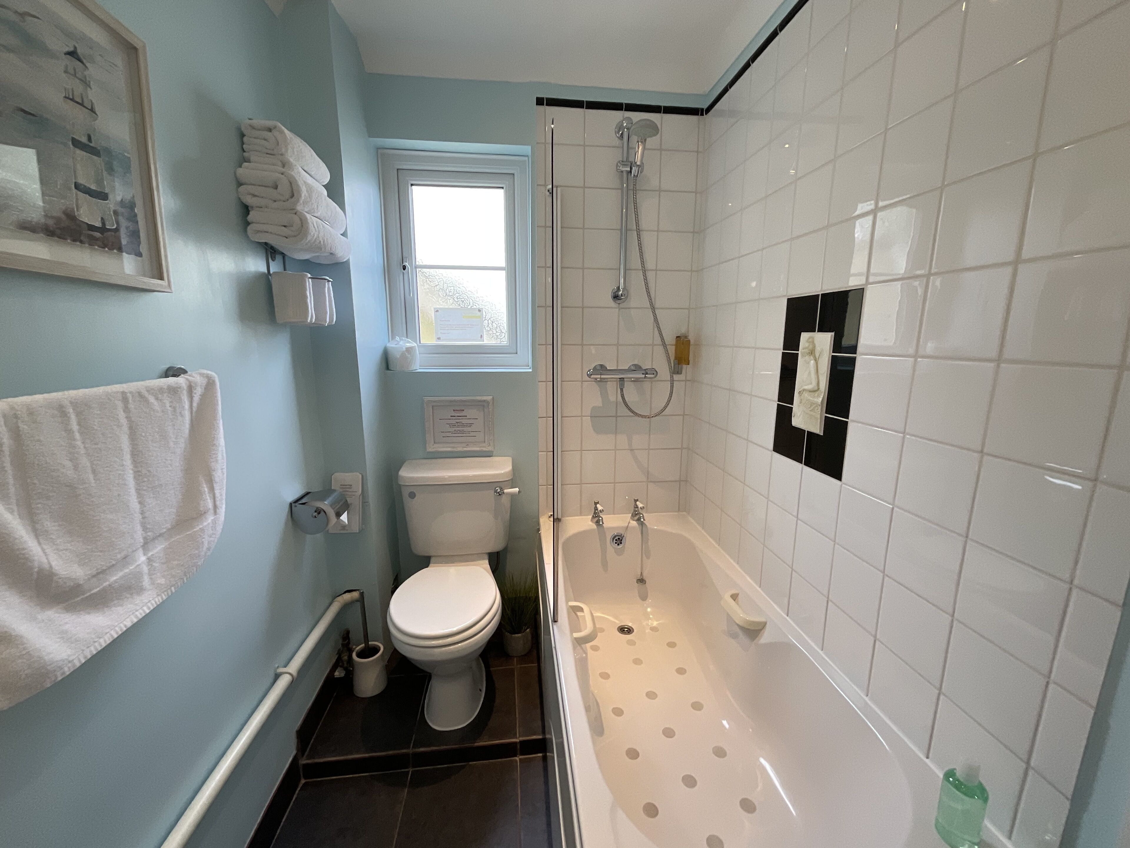 Un baño con inodoro, bañera con ducha y toallero.