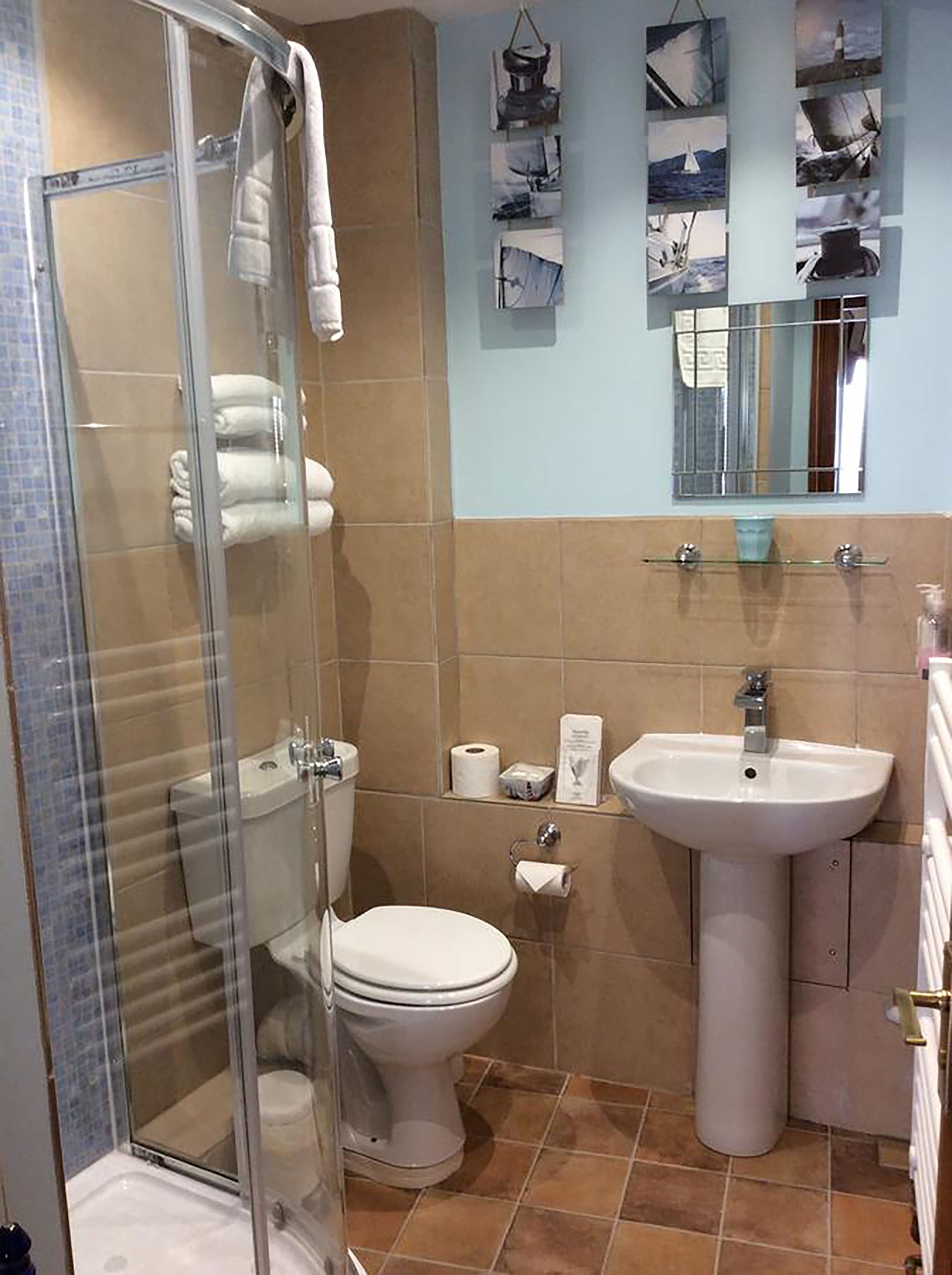 A bathroom with a glass shower enclosure, a toilet, a sink, and a mirror with a shelf above it.