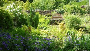 Un jardín con banca de madera, abundante vegetación y diversas plantas en flor.