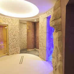 Sauna, vasca idromassaggio, bagno turco/hammam, trattamenti per il corpo