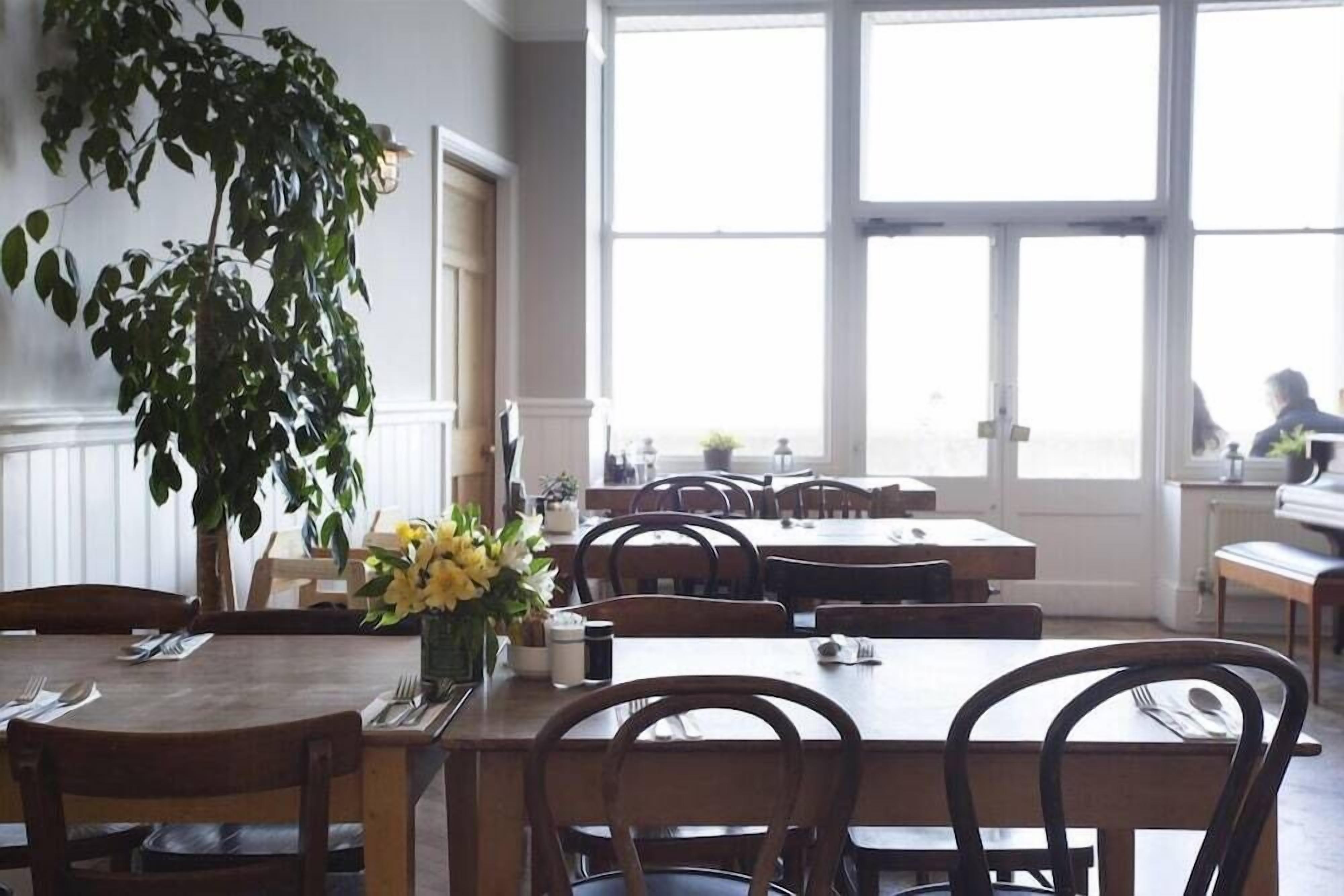 A dining area with wooden tables and chairs, a large potted plant, and a view through large windows.
