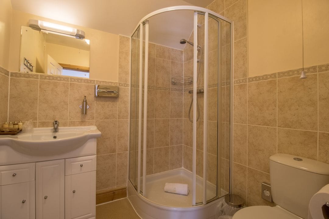 A bathroom with a glass-enclosed shower, a sink with a mirror, and a toilet.
