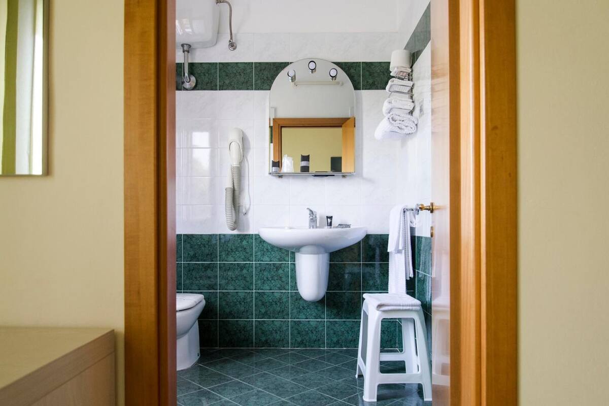 shower, hair dryer, bidet, towels