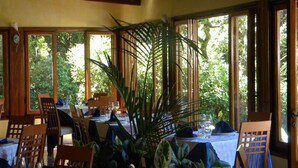Comedor con mesas dispuestas para dos, ventanas amplias y plantas de interior.