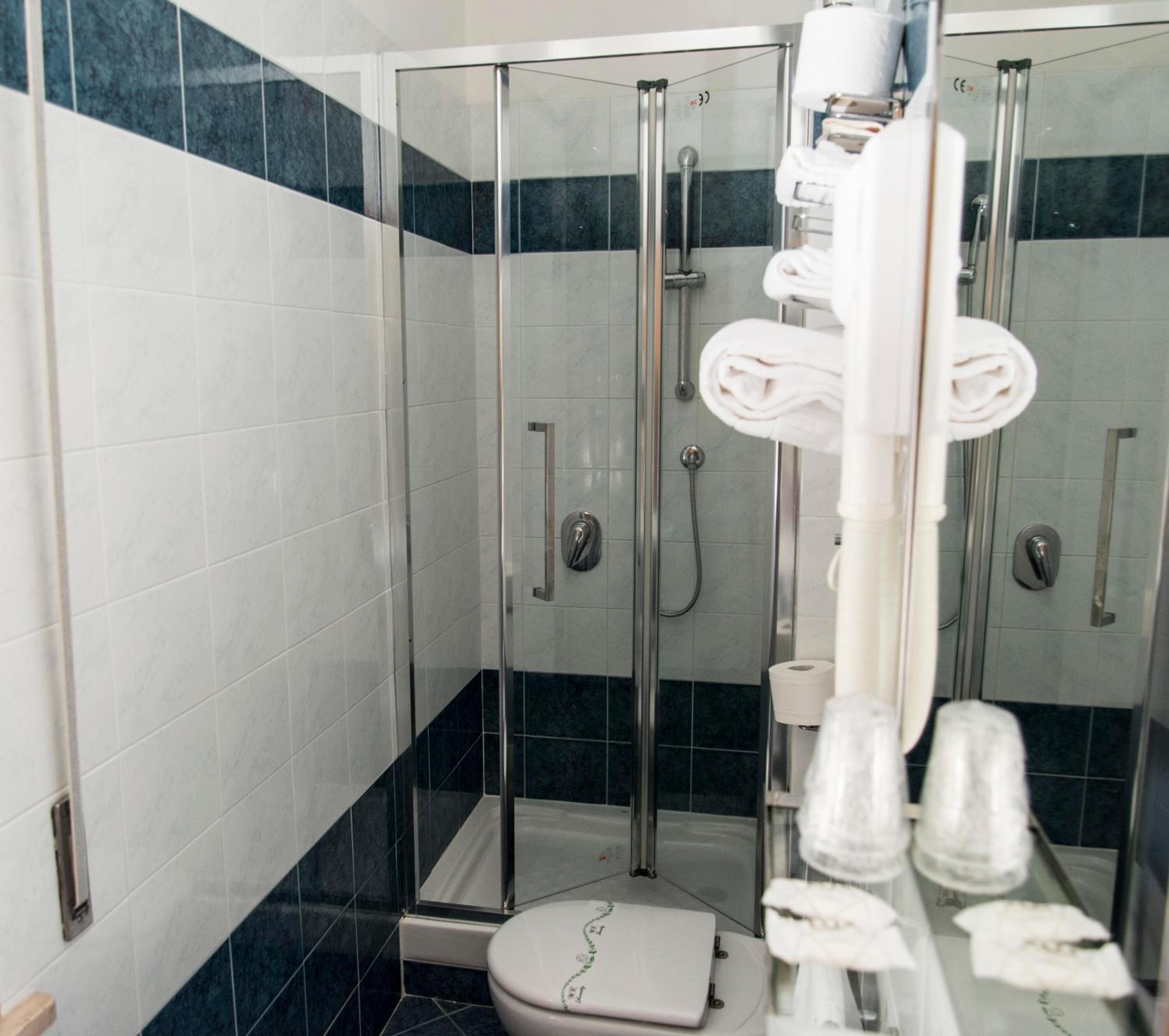 shower, hair dryer, bidet, towels