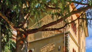 A cobblestone street with a building featuring a stone base, a metal fence, and flower boxes on the wall. - Casa Vacanze Le Muse Sillico (Pieve Fosciana)