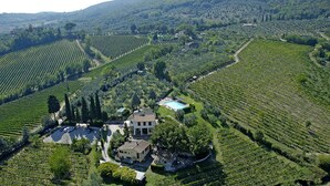 An aerial view of a vineyard with rows of grapevines, a central building, and a swimming pool. - Podere Bellavista (San Gimignano)