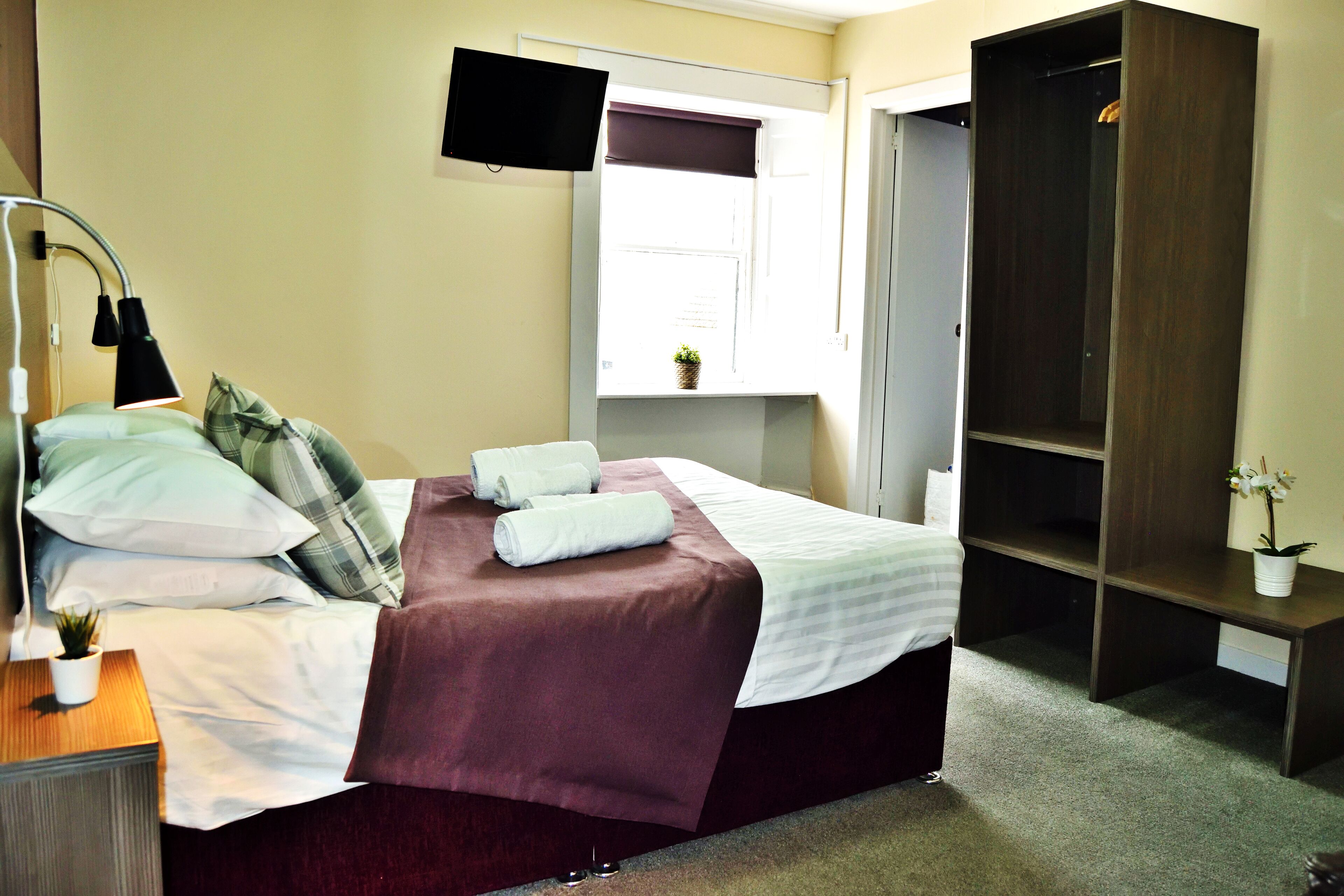 A neatly made bed with a brown bedspread, a bedside lamp, and a small potted plant on the nightstand.