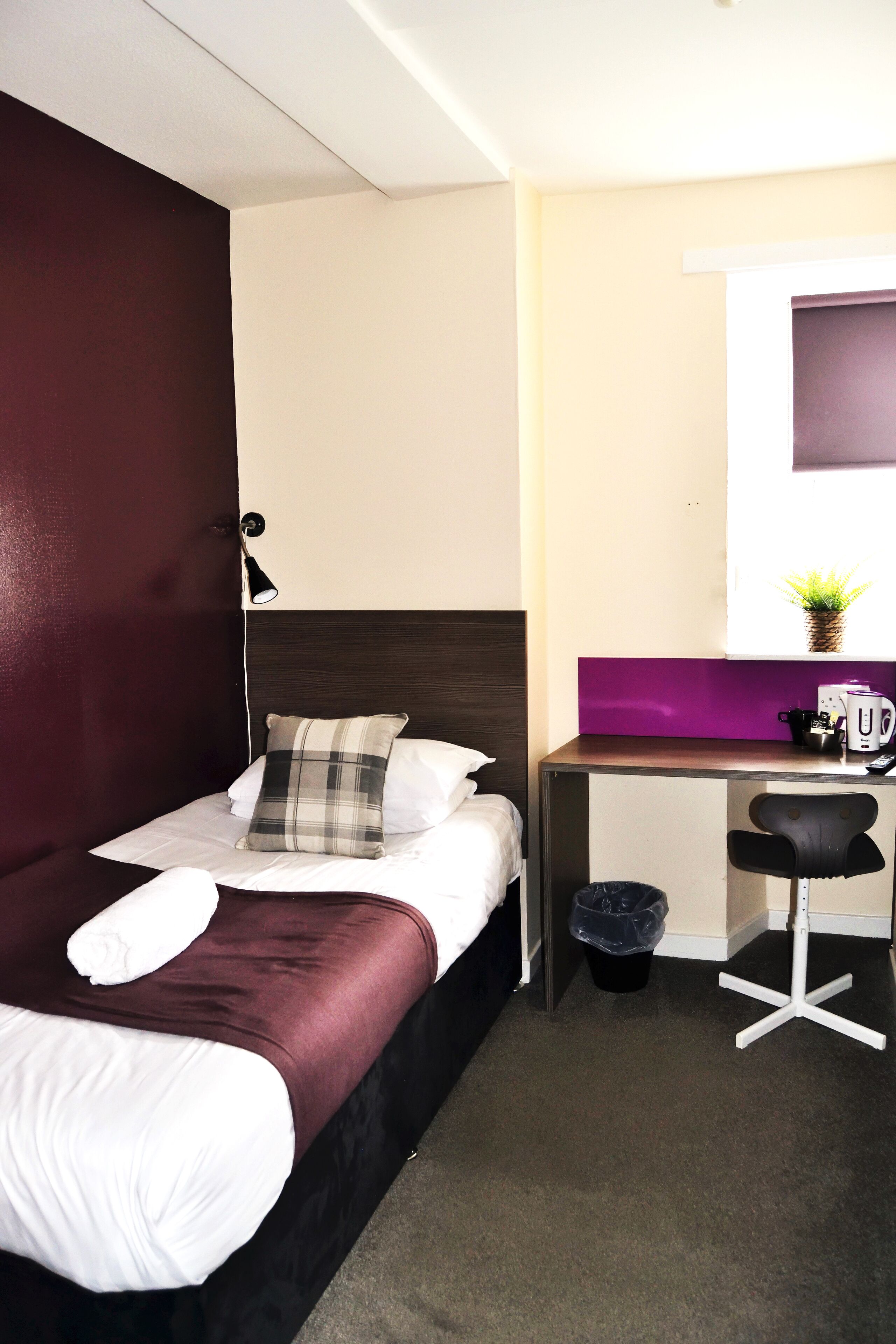 A hotel room with a bed, a desk, a chair, a trash bin, and a small potted plant.