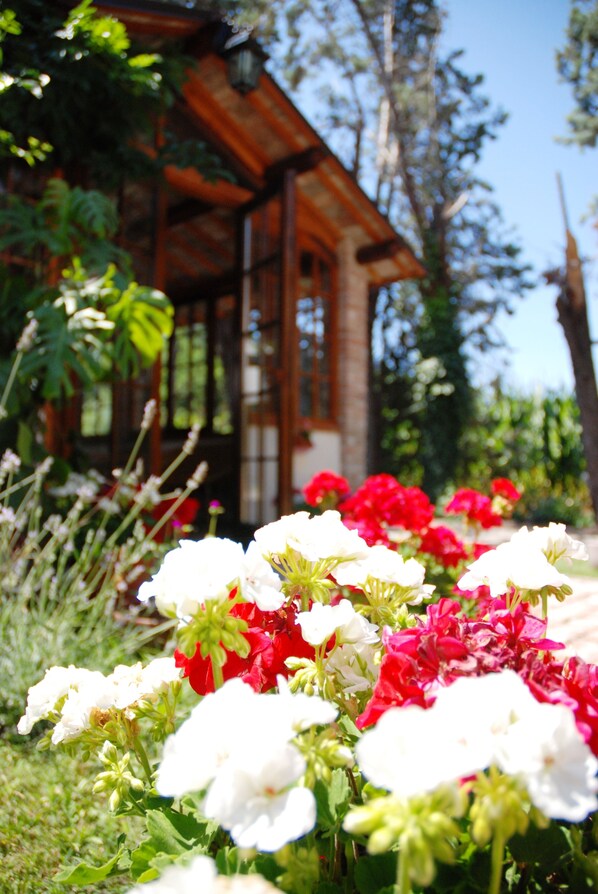 Exterior - Agriturismo Corte Bussari (Arqua Polesine)