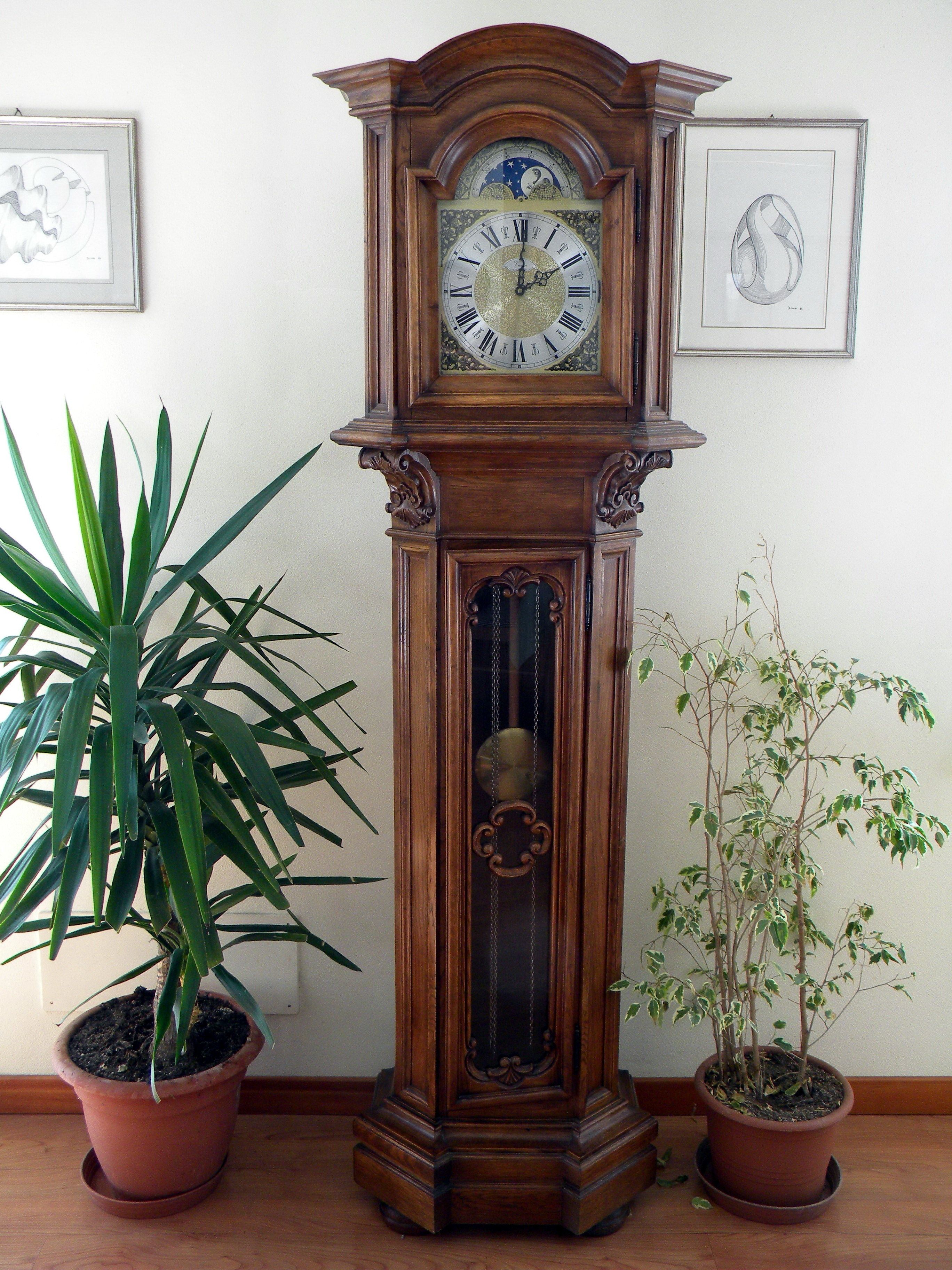A tall grandfather clock with Roman numerals, flanked by two potted plants.
