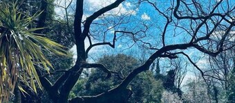 Hotel Villa Scalabrini