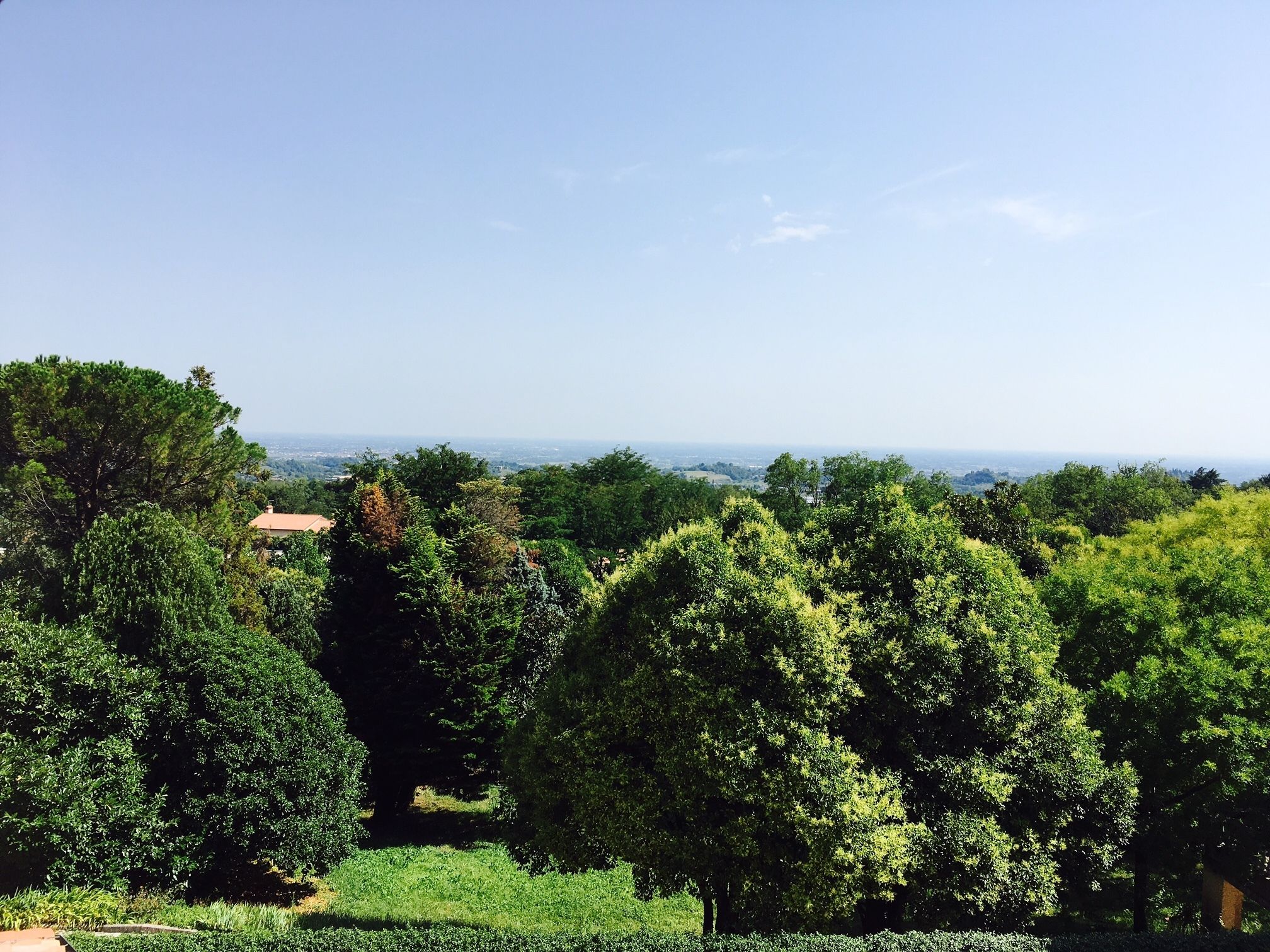 A lush landscape with dense greenery and a distant view of a town.