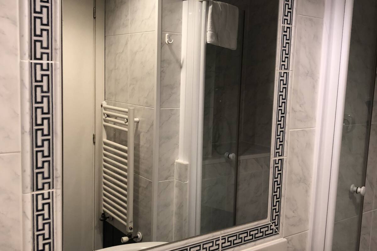 shower, free toiletries, hair dryer, bidet