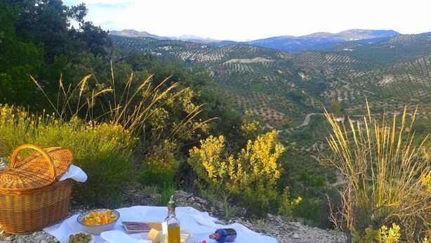 Un coin pique-nique aménagé sur un terrain rocheux, avec vue sur des collines ondoyantes et un panier.