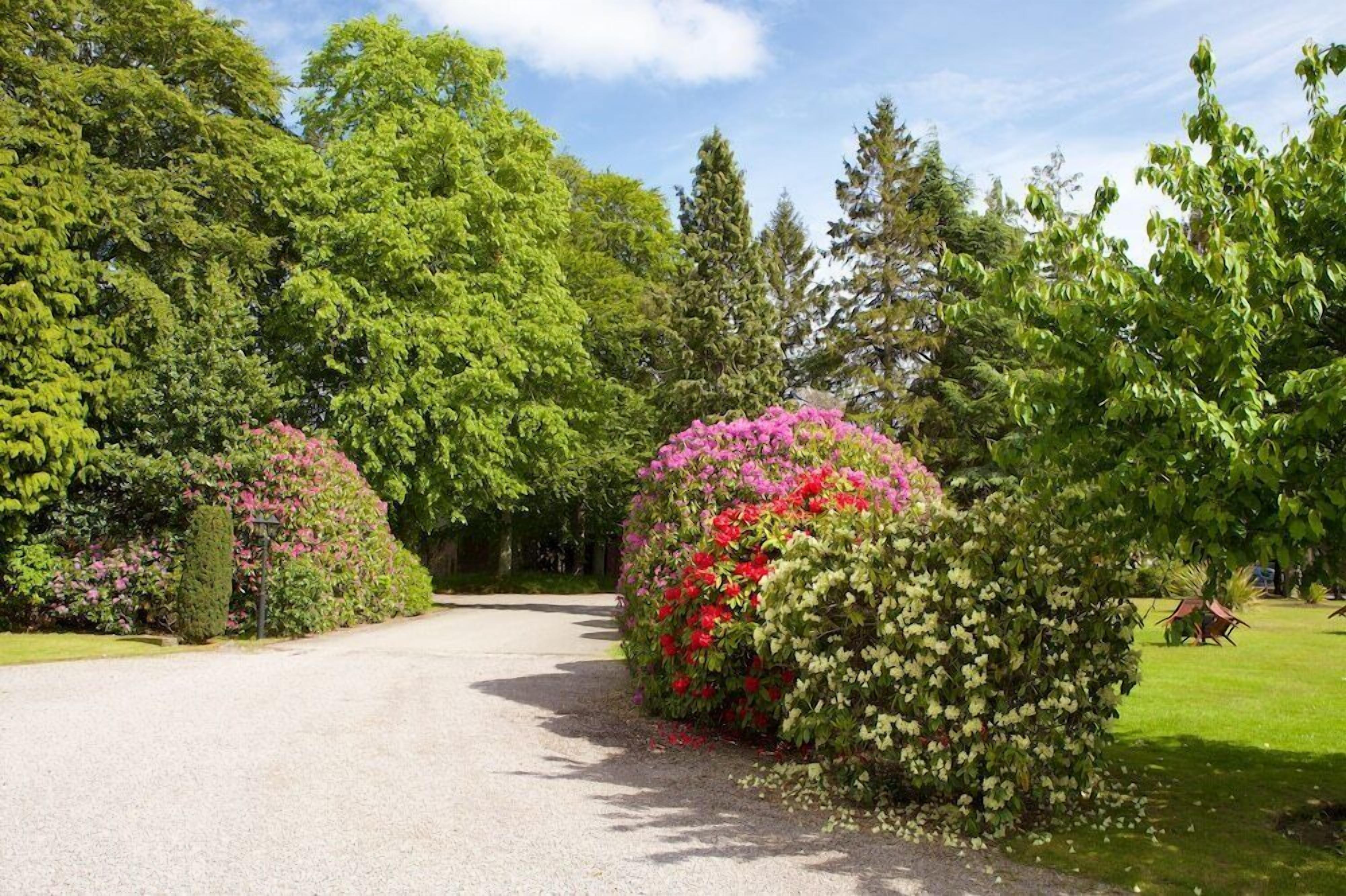 المنطقة المحيطة بالمنشأة