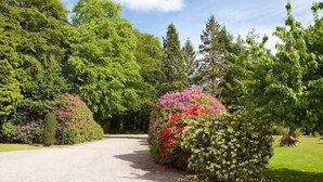 A gravel driveway leading through a garden with lush green trees and vibrant flowering bushes. - Ramnee (Forres)