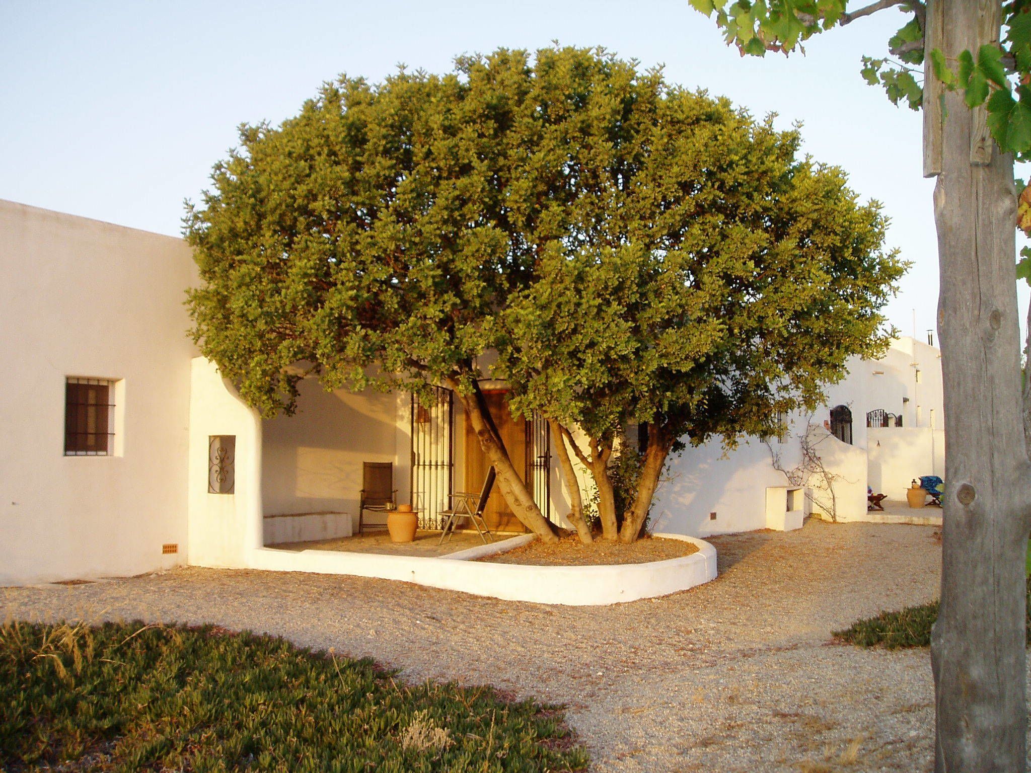 Habitación doble | Terraza o patio