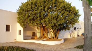 Double Room | Terrace/patio