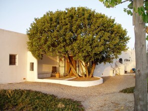 Doppelzimmer | Terrasse/Patio