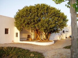 Habitación doble | Terraza o patio