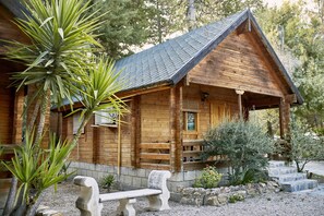 Basic-Ferienhütte, 1 Schlafzimmer | Terrasse/Patio