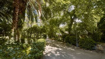 Jardín