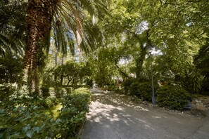 Garden - Balneario San Andrès (Canena)