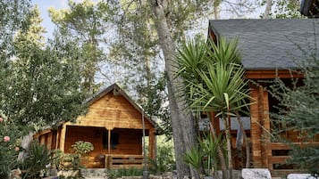 A wooden cabin with a porch, surrounded by trees and plants.