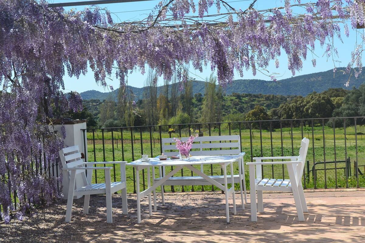 Een wit zitgedeelte buiten met een tafel en stoelen, omringd door een witte hekken, en paarse wisteria die erboven hangt.
