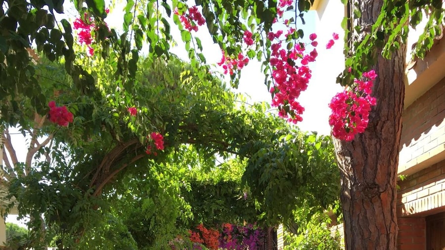 Hospedería Santiago