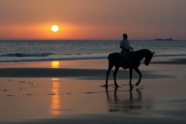 Playa en los alrededores