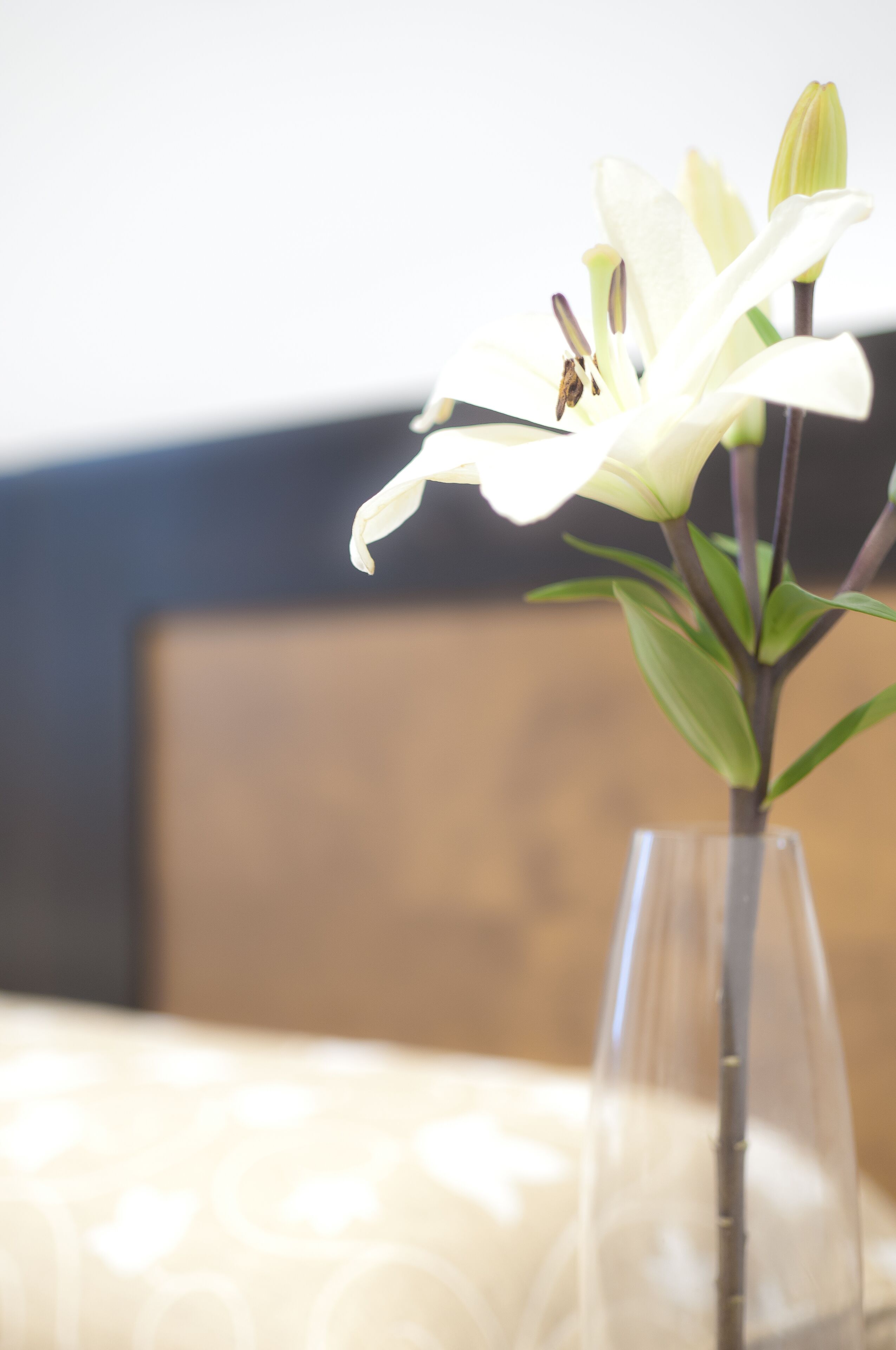 Foto - Hotel Restaurante Blanco y Verde