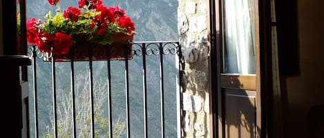 Suite | View from room