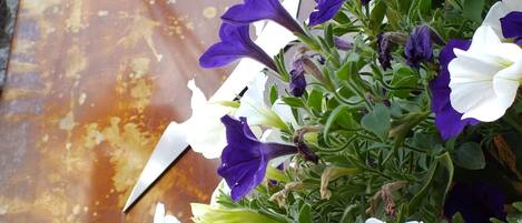 A sign with the name "AREUCO" and a logo, surrounded by purple and white flowers.