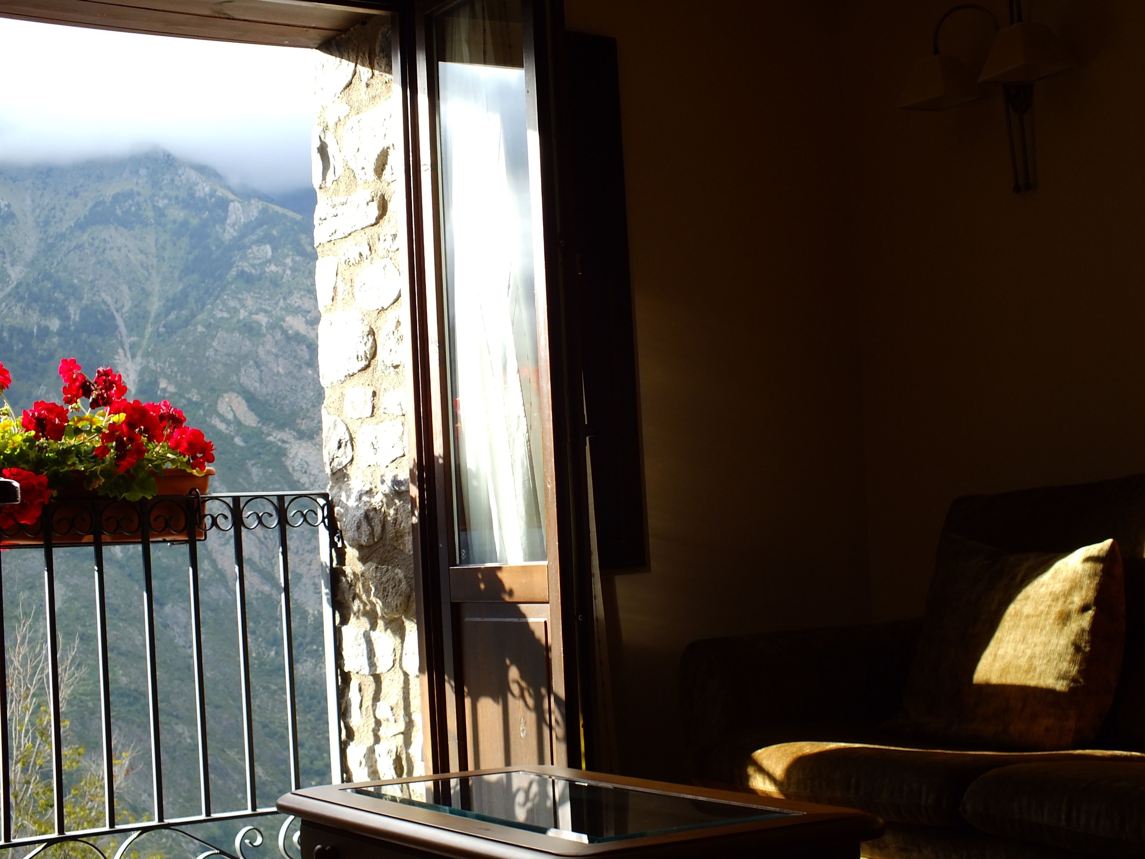 Suite | View from room