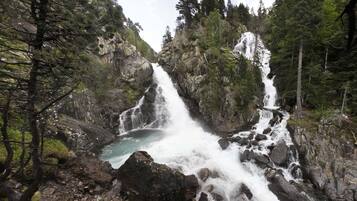 A waterfall surrounded by dense forest.