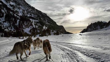 A group of huskies pulling a sled across a snowy landscape with mountains in the background.