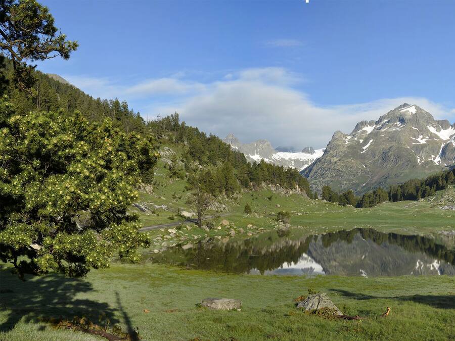 Eine friedliche Berglandschaft mit klarem See, üppiger Vegetation und felsigen Gipfeln.