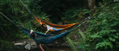 A hammock in a forested area with a person lying in it.