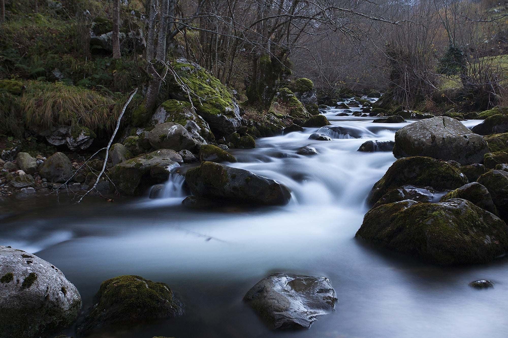 A river flowing through a forest with rocks and moss-covered stones.