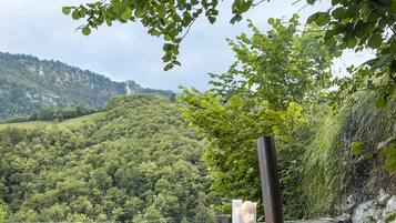 Un jacuzzi de madera con vistas a un paisaje montañoso cubierto de bosque.