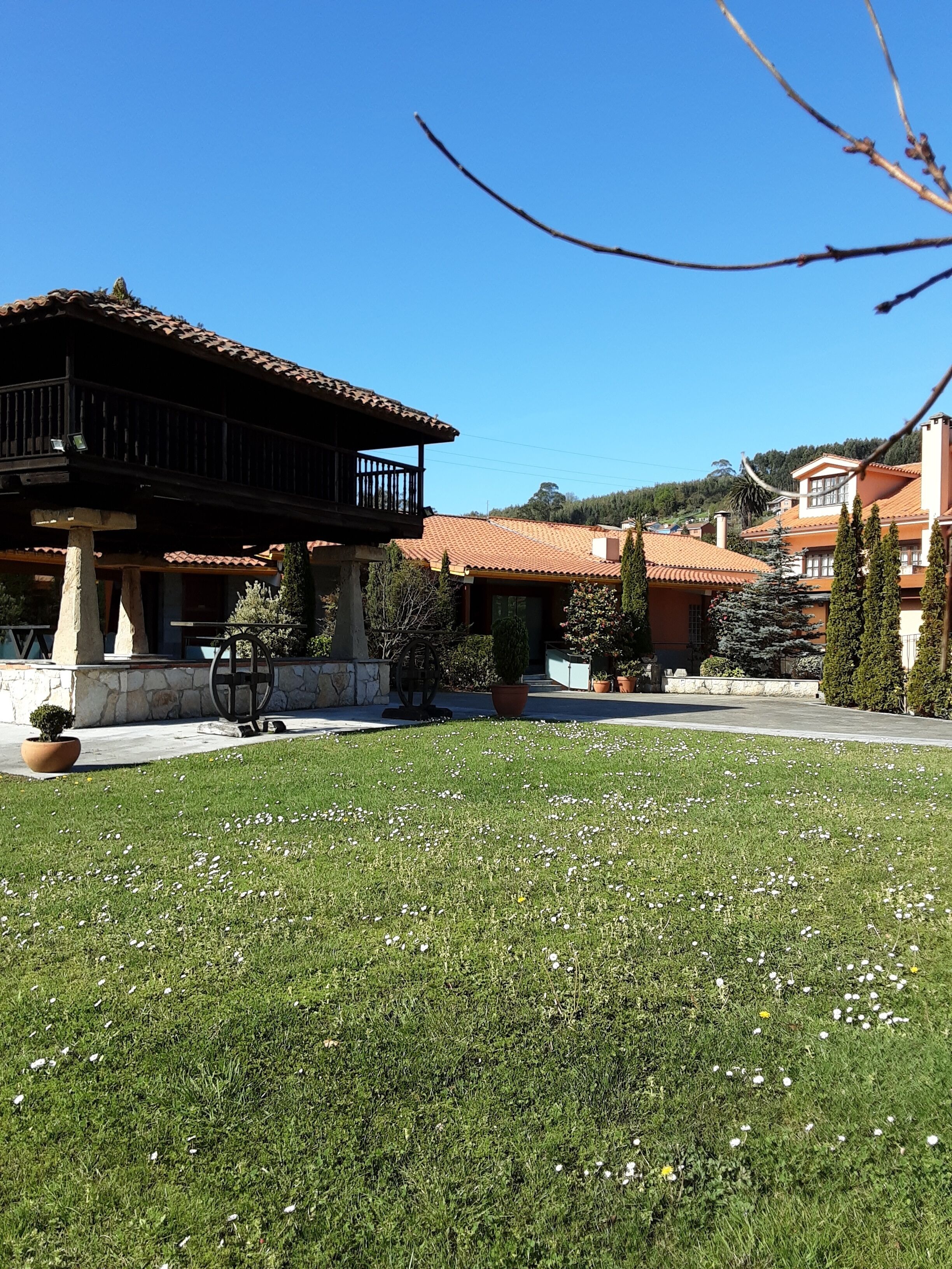 A villa with a tiled roof, a stone patio, and a lawn with white flowers.
